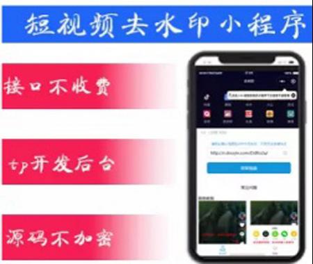 ThinkPHP短视频去水印程序 抖音快手视频去水印小程序系统源码