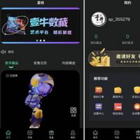 星核NFT,含开源VUE，NFT数字藏品艺术品交易平台铸造市场转售盲盒商城app系统仿鲸探软件源码