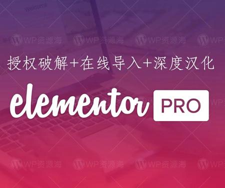 Elementor Pro-独家破解优化/全模版库/中文汉化
