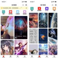 最新带自动采集的动态视频壁纸头像小程序，每天自动更新，无需手动，良心推荐，吸粉精品