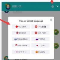 2021国际十种语言防黑版/多商户无限坐席在线客服系统源码/带机器人带翻译/兼容多端