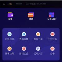 全新java足球反波胆前端vue后端java运营级系统